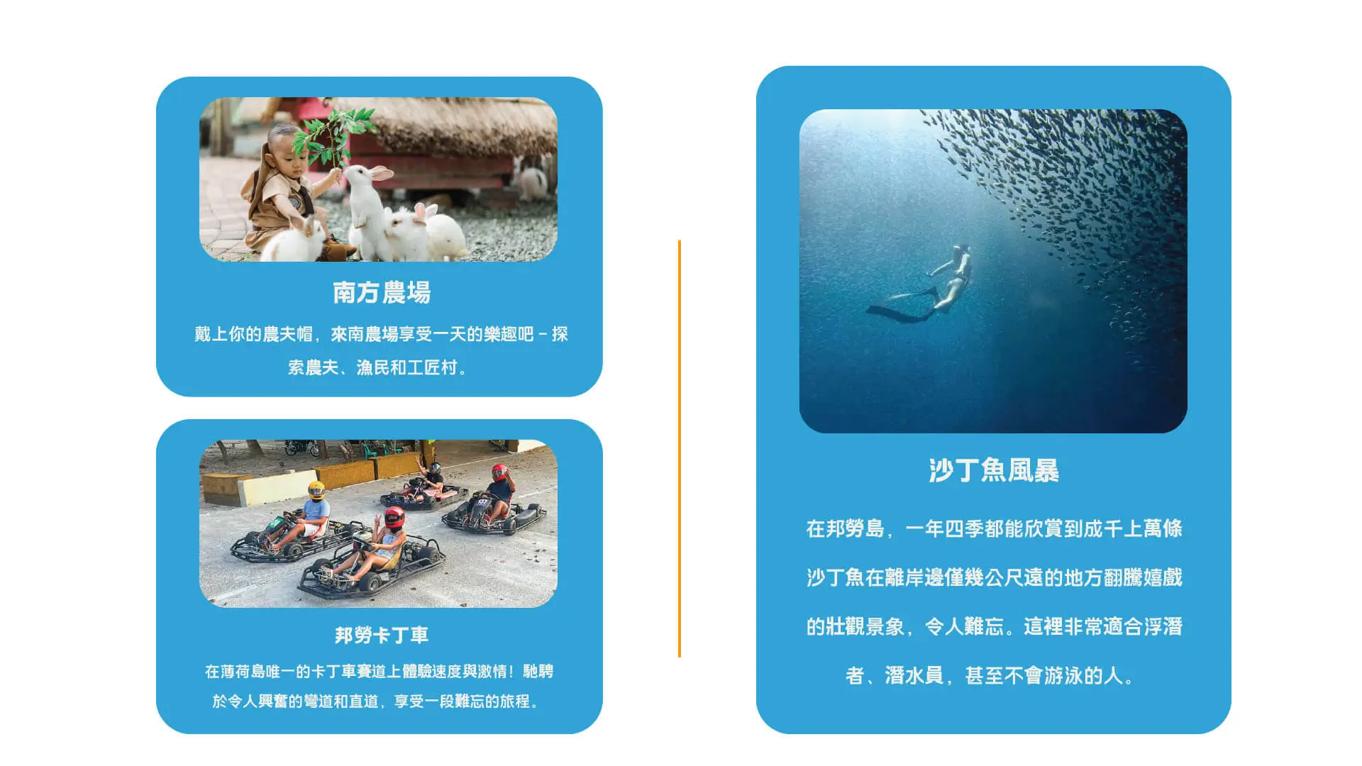 菲律宾英语游学图片35